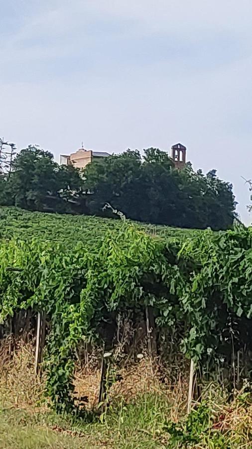 B&B I Tre Ulivi Morro dʼOro Exteriér fotografie