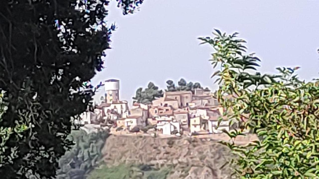 B&B I Tre Ulivi Morro dʼOro Exteriér fotografie