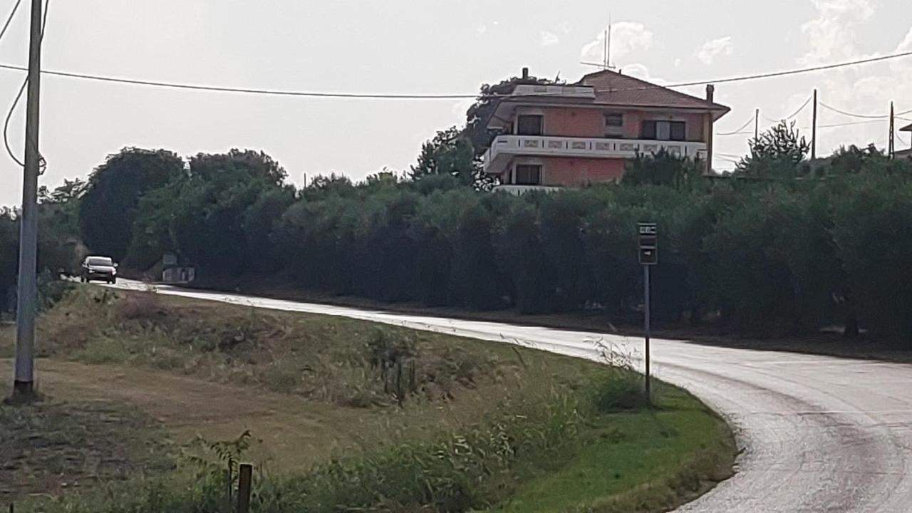 B&B I Tre Ulivi Morro dʼOro Exteriér fotografie