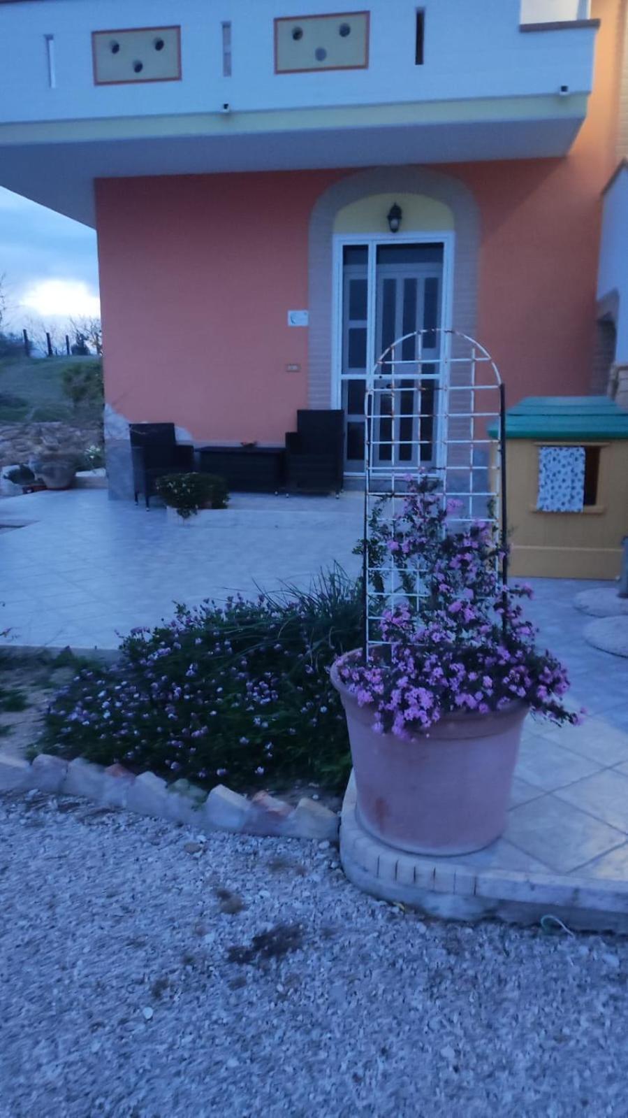 B&B I Tre Ulivi Morro dʼOro Exteriér fotografie