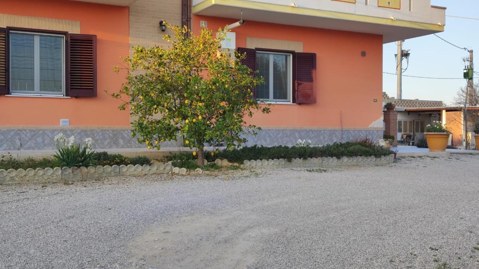 B&B I Tre Ulivi Morro dʼOro Exteriér fotografie